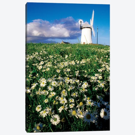 Millisle, County Down, Ireland; Ballycopeland Windmill Canvas Print #IIM63} by Irish Image Collection Art Print