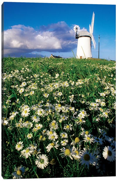 Millisle, County Down, Ireland; Ballycopeland Windmill Canvas Art Print - Watermill & Windmill Art