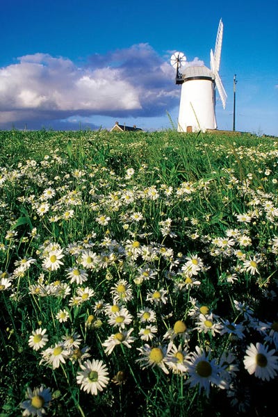 Northern Ireland: Millisle, County Down, Ireland; Ballycopeland Windmill by Irish Image Collection