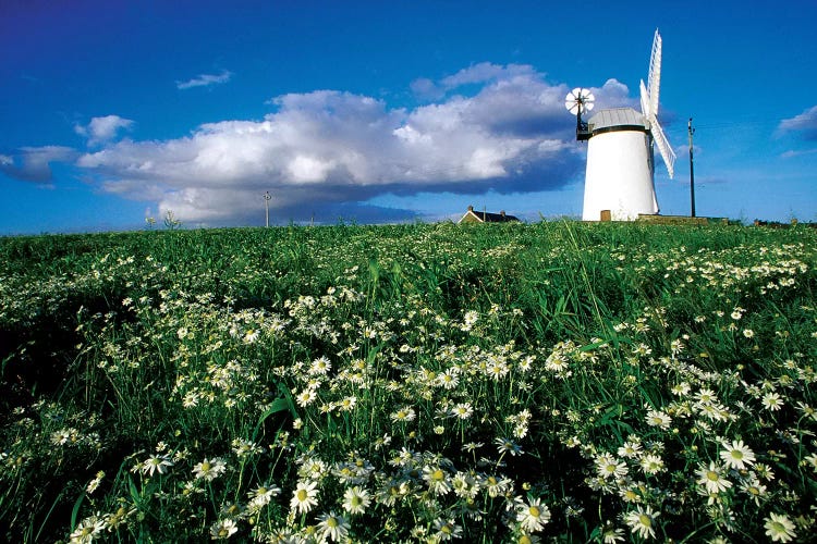 Millisle, County Down, Ireland; Ballycopeland Windmill