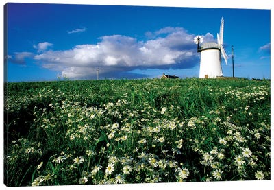 Millisle, County Down, Ireland; Ballycopeland Windmill Canvas Art Print - Irish Image Collection