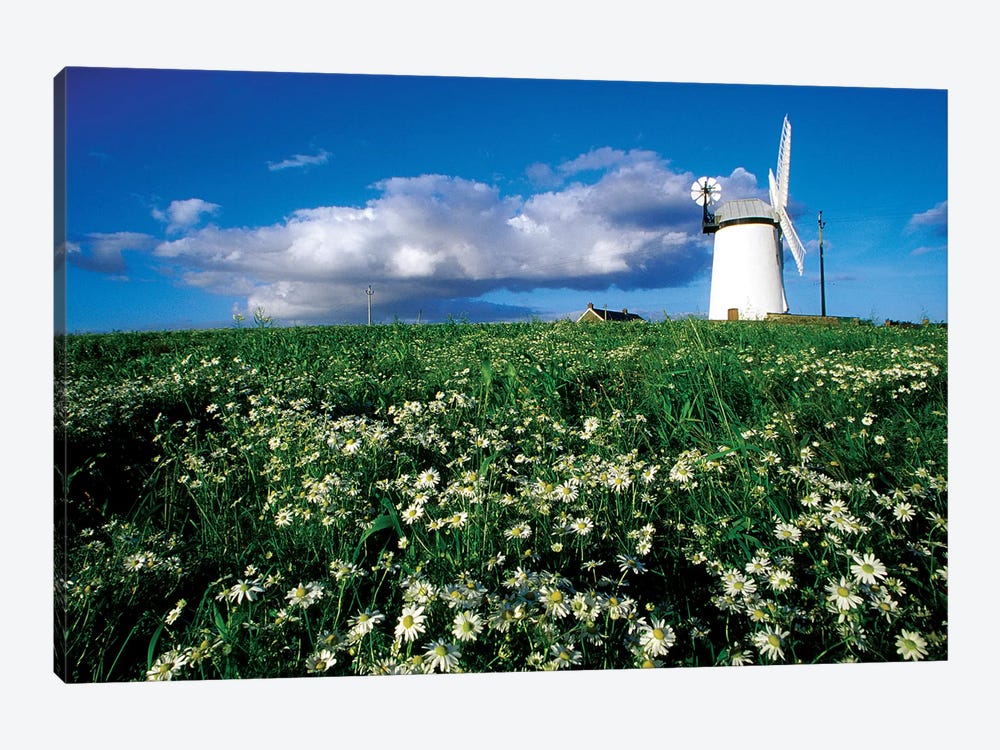 Millisle, County Down, Ireland; Ballycopeland Windmill by Irish Image Collection 1-piece Canvas Art Print