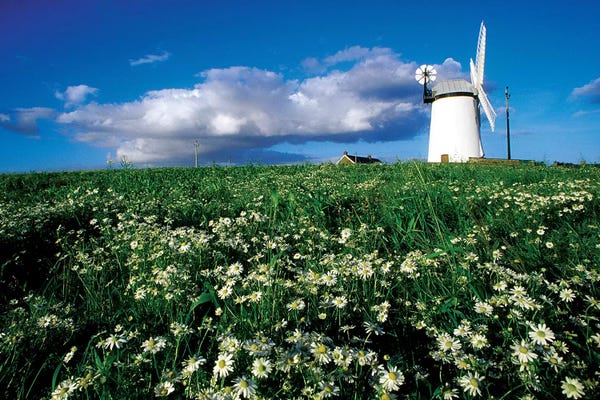 Northern Ireland: Millisle, County Down, Ireland; Ballycopeland Windmill by Irish Image Collection