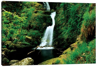 O'sullivans Cascade, Killarney National Park, County Kerry, Ireland; Waterfall Canvas Art Print - Kerry