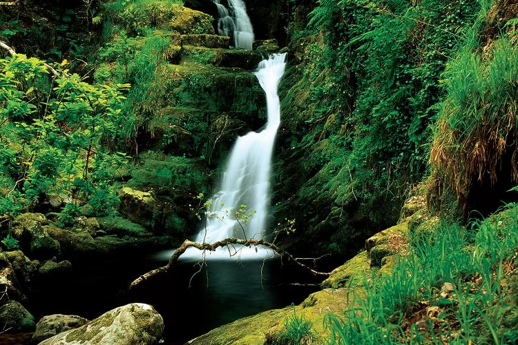 O'sullivans Cascade, Killarney National Park, County Kerry, Ireland; Waterfall