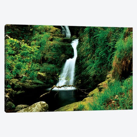 O'sullivans Cascade, Killarney National Park, County Kerry, Ireland; Waterfall Canvas Print #IIM67} by Irish Image Collection Canvas Art