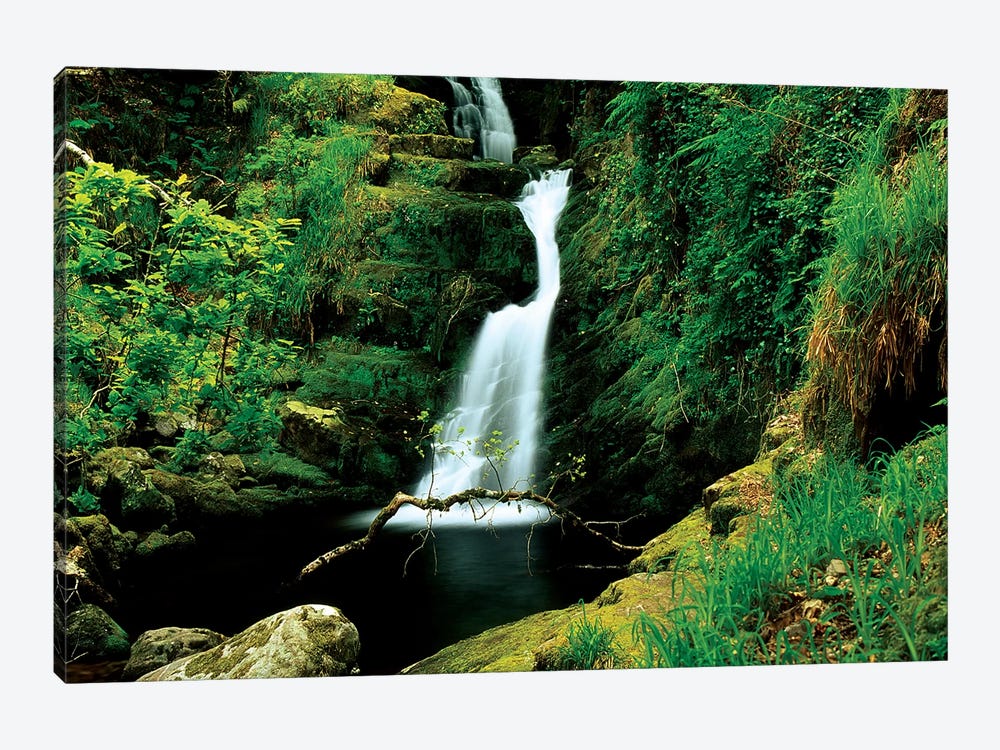 O'sullivans Cascade, Killarney National Park, County Kerry, Ireland; Waterfall by Irish Image Collection 1-piece Canvas Artwork