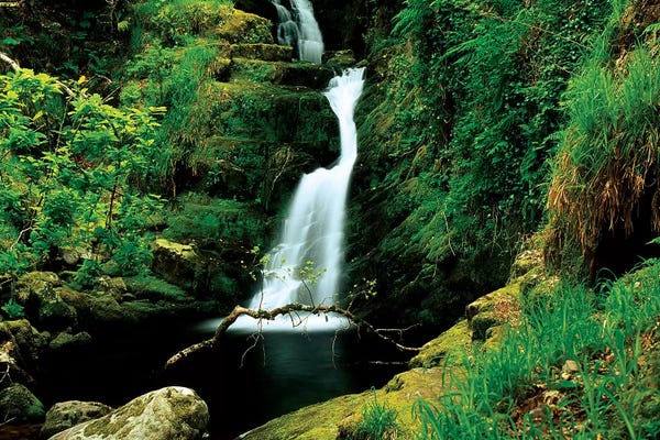 Irish Image Collection: O'sullivans Cascade, Killarney National Park, County Kerry, Ireland; Waterfall by Irish Image Collection