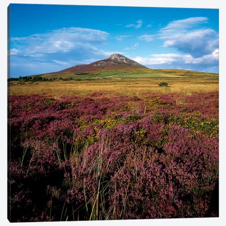 Sugarloaf Mountain, Co Wicklow, Ireland Canvas Print #IIM74} by Irish Image Collection Canvas Print