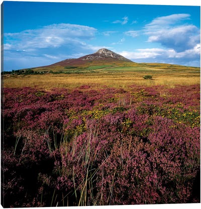 Sugarloaf Mountain, Co Wicklow, Ireland Canvas Art Print - Irish Image Collection