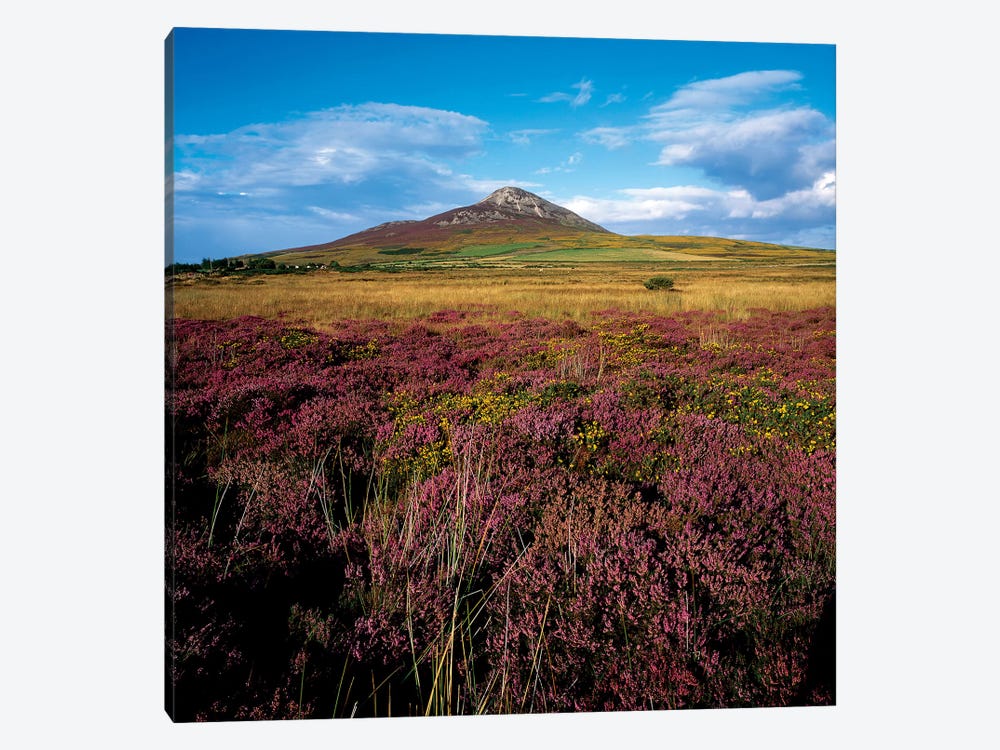 Sugarloaf Mountain, Co Wicklow, Ireland by Irish Image Collection 1-piece Canvas Artwork