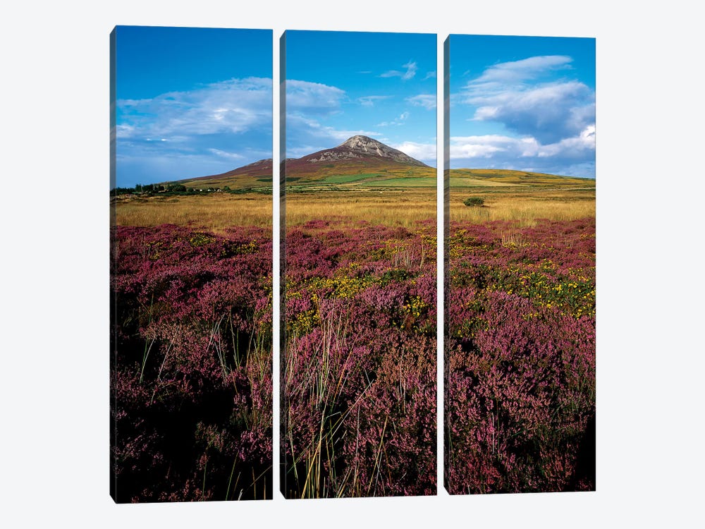 Sugarloaf Mountain, Co Wicklow, Ireland by Irish Image Collection 3-piece Canvas Artwork