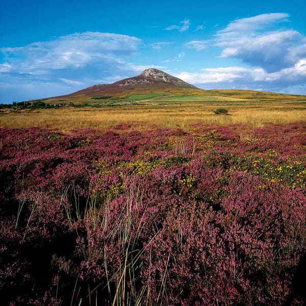 Wicklow: Sugarloaf Mountain, Co Wicklow, Ireland by Irish Image Collection