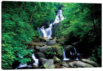 Torc Waterfall, Killarney National Park, County Kerry, Ireland Canvas Art Print - Waterfall Art