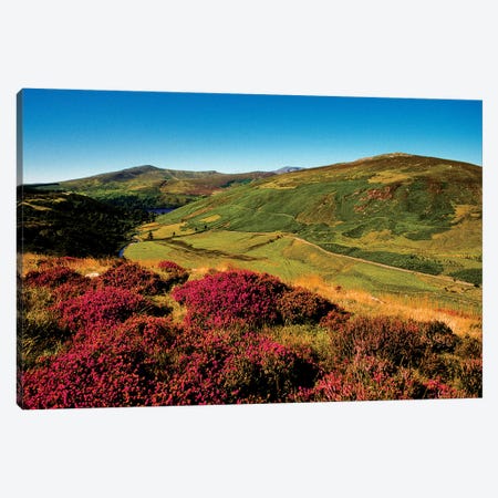 Wicklow Way, Co Wicklow, Ireland, Valley Near Luggala Canvas Print #IIM82} by Irish Image Collection Canvas Print
