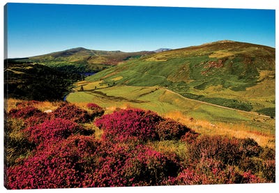 Wicklow Way, Co Wicklow, Ireland, Valley Near Luggala Canvas Art Print - Irish Image Collection