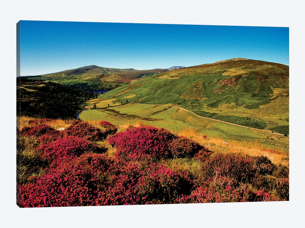 Wicklow Way, Co Wicklow, Ireland, Valley Near Luggala by Irish Image Collection 1-piece Canvas Print