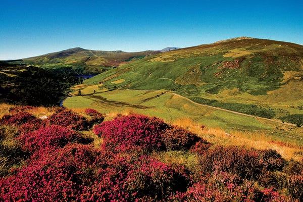 Irish Image Collection: Wicklow Way, Co Wicklow, Ireland, Valley Near Luggala by Irish Image Collection