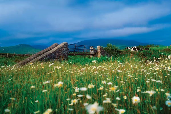 Kerry: Bridge At Castlegregory, Dingle Peninsula, Co Kerry, Ireland by Irish Image Collection