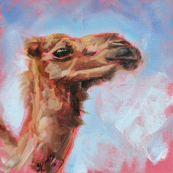Camels: Calmness by Iryna Khort