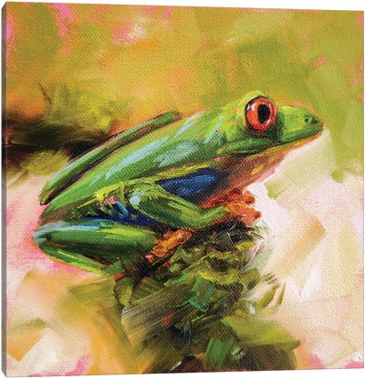 Cheerfully Canvas Art Print - Frog Art