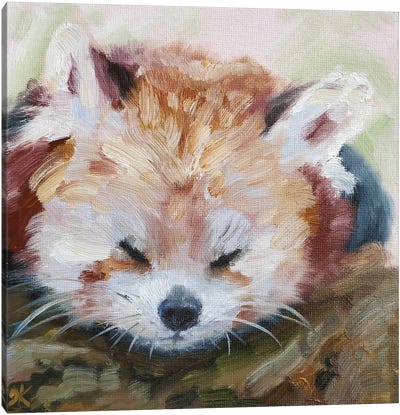 Chill Off Canvas Art Print - Red Panda Art