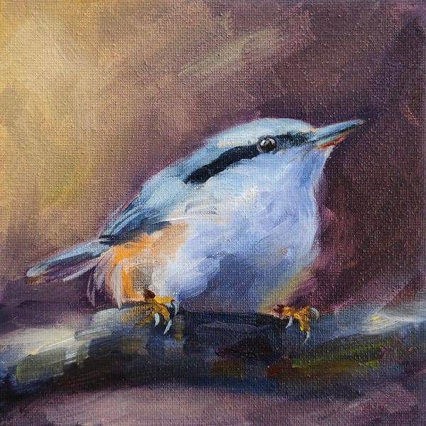 Nuthatches: Encouraged by Iryna Khort