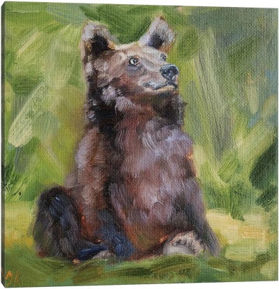 Enjoying Canvas Art Print - Brown Bear Art