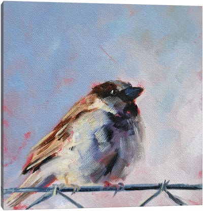 Freedom Canvas Art Print - Sparrow Art