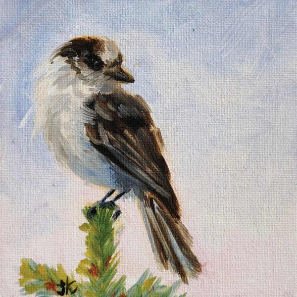 Iryna Khort: Gray Jay by Iryna Khort
