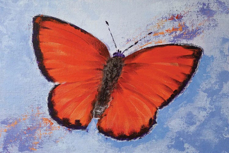 Intensity by Iryna Khort wall art