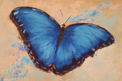 Lightness by Iryna Khort canvas print