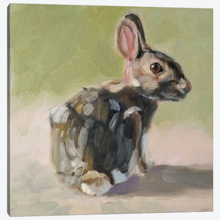 Little Rabbit Canvas Print #IKH44} by Iryna Khort Canvas Artwork