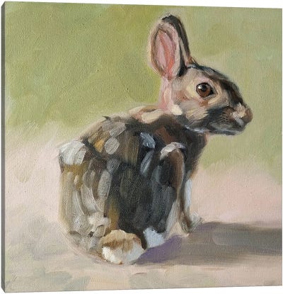 Little Rabbit Canvas Art Print - Iryna Khort
