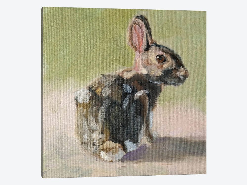 Little Rabbit by Iryna Khort 1-piece Canvas Art Print
