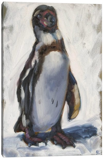 Lovely Day Canvas Art Print - Penguin Art