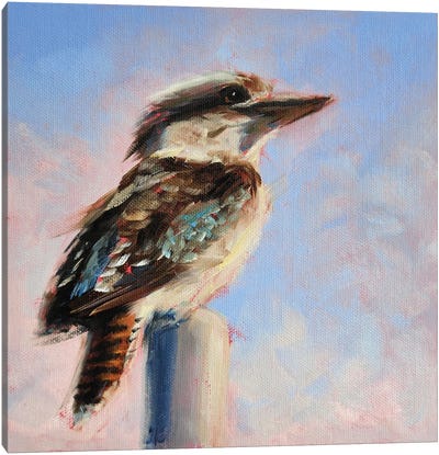 Managed Canvas Art Print - Kookaburras