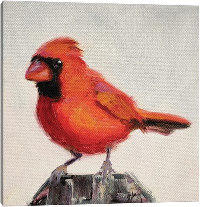 New Day Canvas Art Print - Cardinal Art
