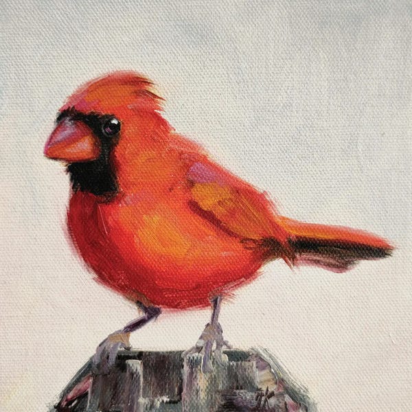 Cardinals: New Day by Iryna Khort