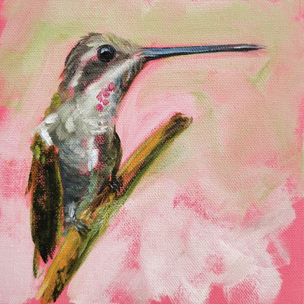 Hummingbirds: Playful by Iryna Khort