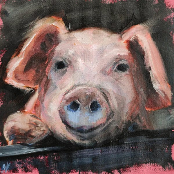 Pigs: Smile by Iryna Khort
