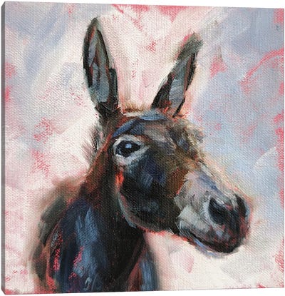 Smiling Canvas Art Print - Donkey Art