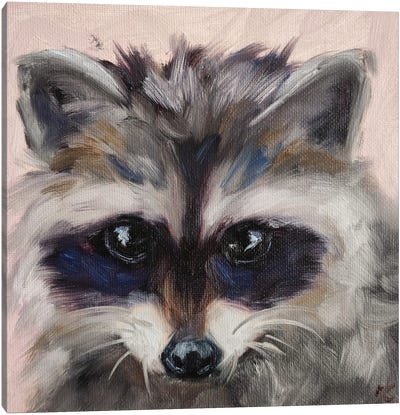 Today Canvas Art Print - Raccoon Art