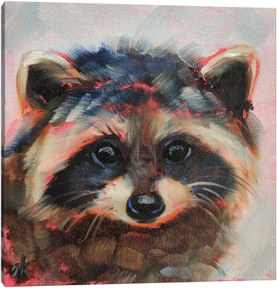 Touching Canvas Art Print - Raccoon Art