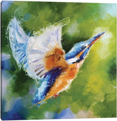 Turn Fantasy To Reality Canvas Art Print - Kingfisher Art