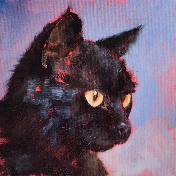 Black Cats: The Curious Gaze by Iryna Khort