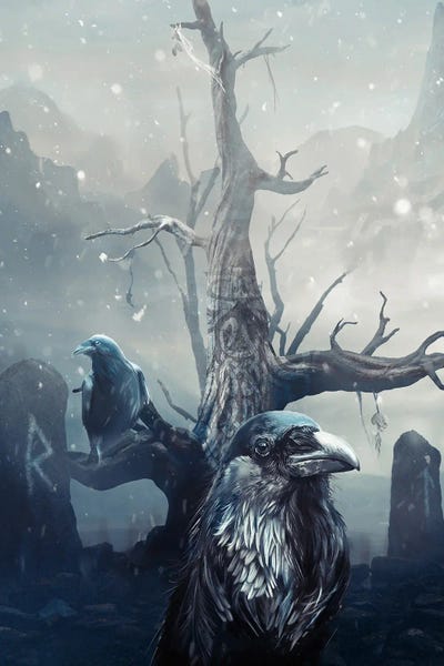 Huginn And Muninn The Norse Ravens by IKARUNA canvas print