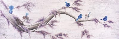 Splendid Fairy Wrens by Isabella Karolewicz multi panel art