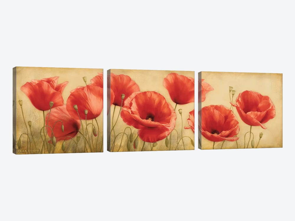 Poppies Grace I by Igor Levashov 3-piece Canvas Art Print