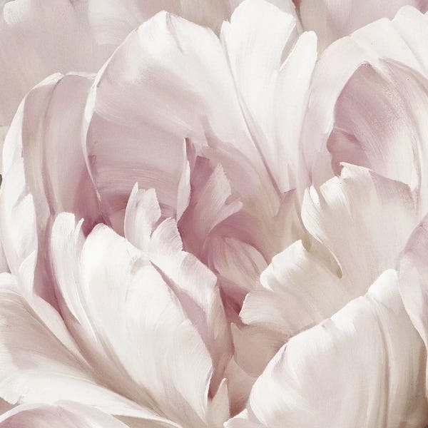 Floral Close-Ups: Intimate Blush I by Igor Levashov